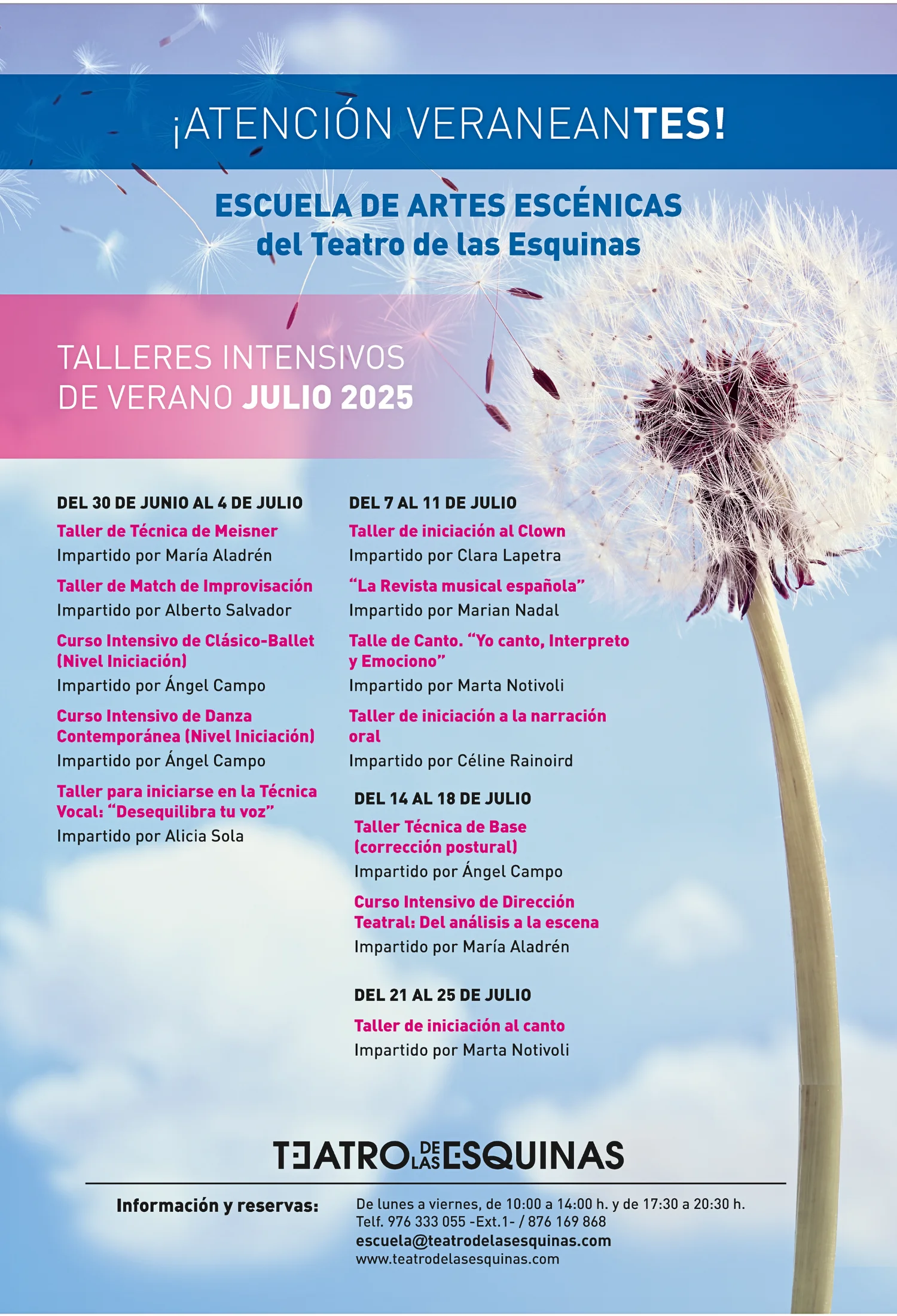 Cursos ZIES