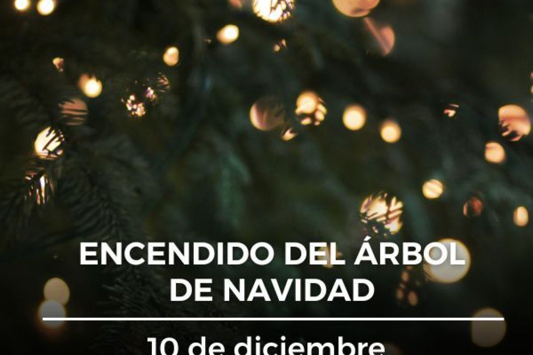 Encendido del Árbol de Navidad Encendido del Árbol de Navidad